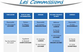 Commissions statutaires